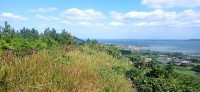 20251027_124023.jpg