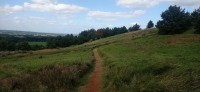 20251027_125407.jpg