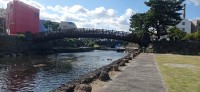 20251028_110004.jpg