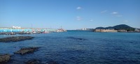 20251028_131737.jpg