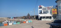 20251029_120739.jpg