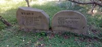 20251029_124349.jpg