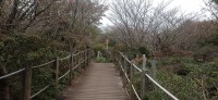 20251030_092656.jpg