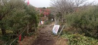 20251030_092903.jpg