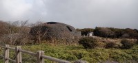 20251030_092945.jpg