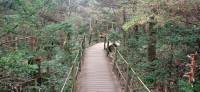 20251030_093708.jpg
