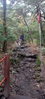 20251030_093943.jpg