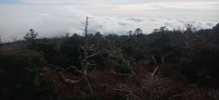 20251030_100247.jpg