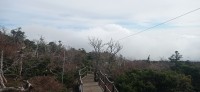 20251030_100249.jpg