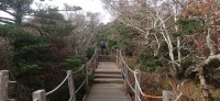 20251030_100252.jpg