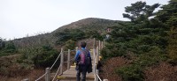 20251030_100858.jpg