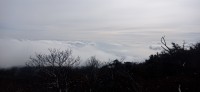 20251030_101706.jpg