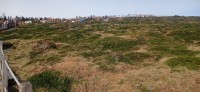 20251030_105423.jpg