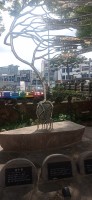 20251031_110642.jpg