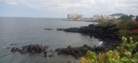 20251031_121025.jpg