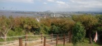 20251031_132626.jpg