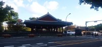 20251101_080222.jpg