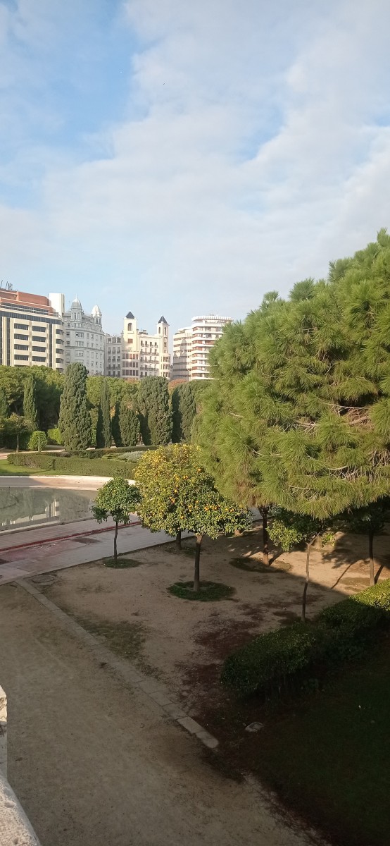 20251212_101437.jpg