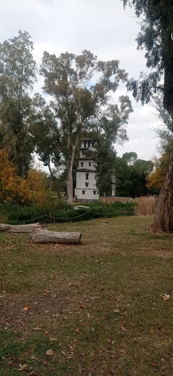 20251212_131334.jpg