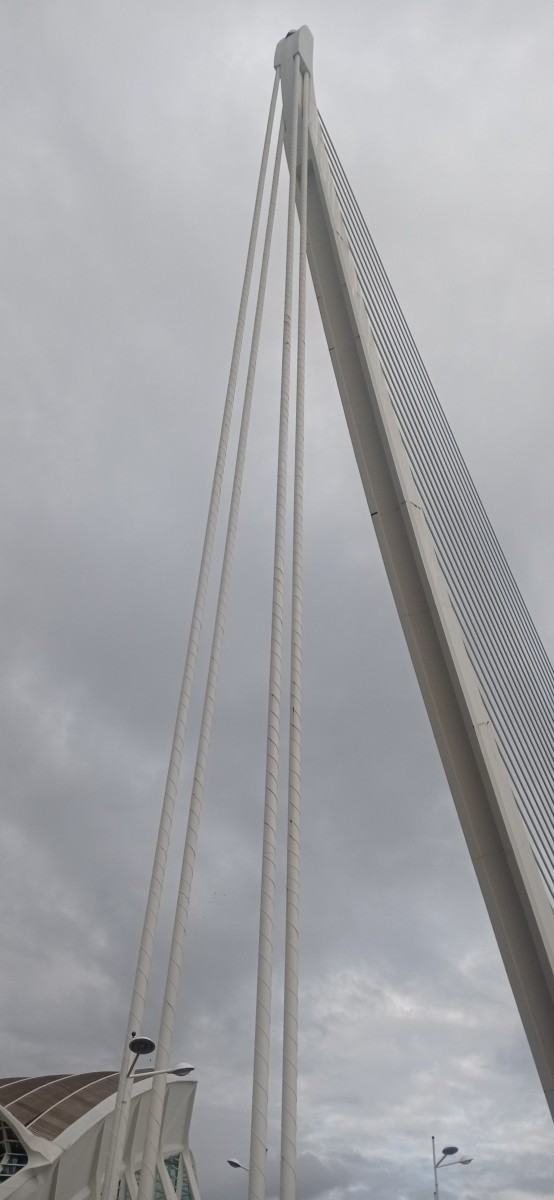 20251213_145232.jpg