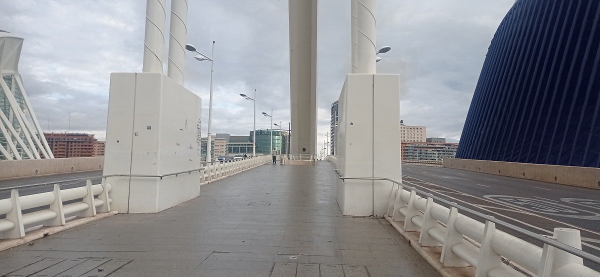 20251213_145333.jpg