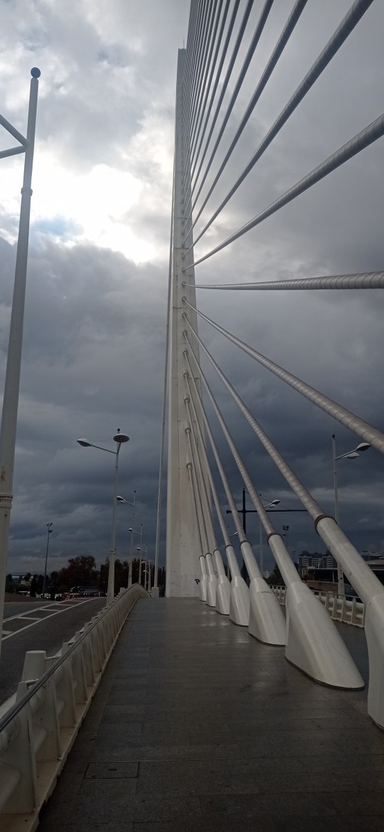 20251213_145548.jpg