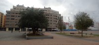 20251213_103455.jpg