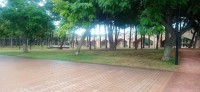20251213_123438.jpg