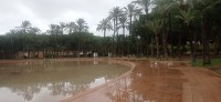 20251213_123559.jpg