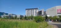 20260210_105007.jpg