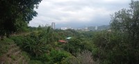 20260210_124456.jpg