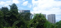 20260210_125603.jpg