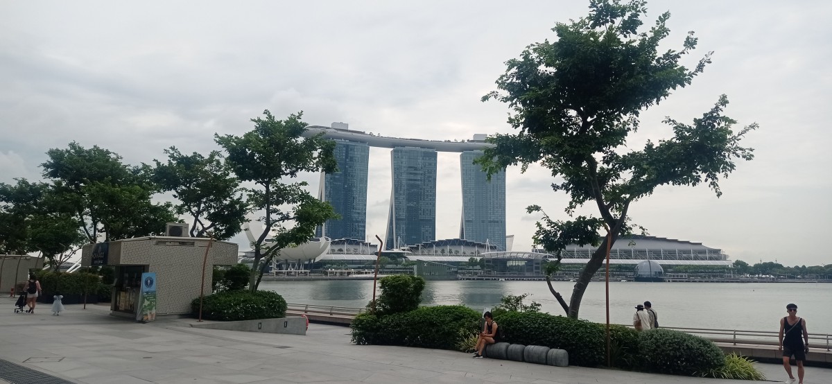 20260212_103231.jpg