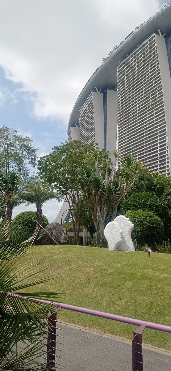 20260212_120443.jpg