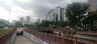 20260211_153005.jpg