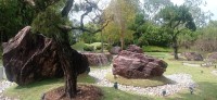 20260212_112741.jpg