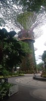 20260212_114249.jpg