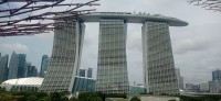 20260212_114924.jpg