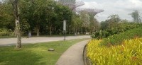 20260212_120004.jpg