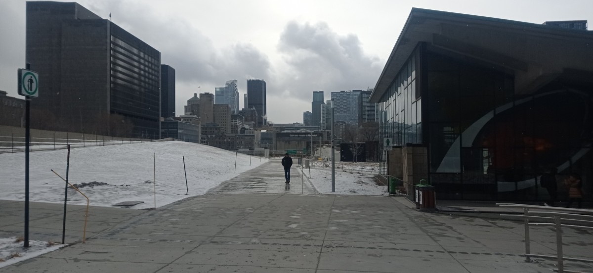 20260312_143918.jpg