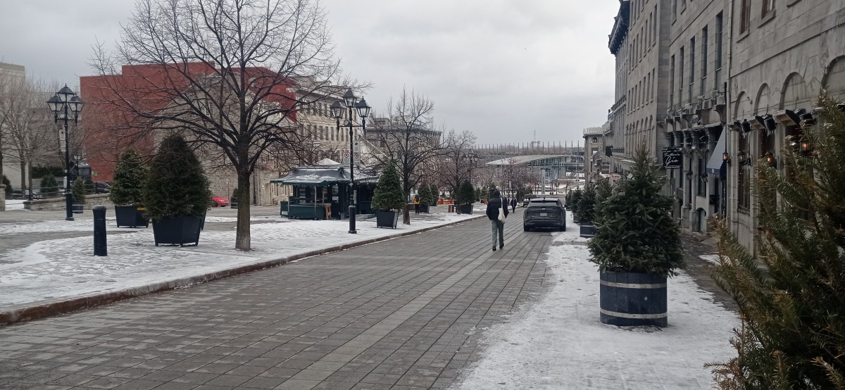 20260312_144505.jpg