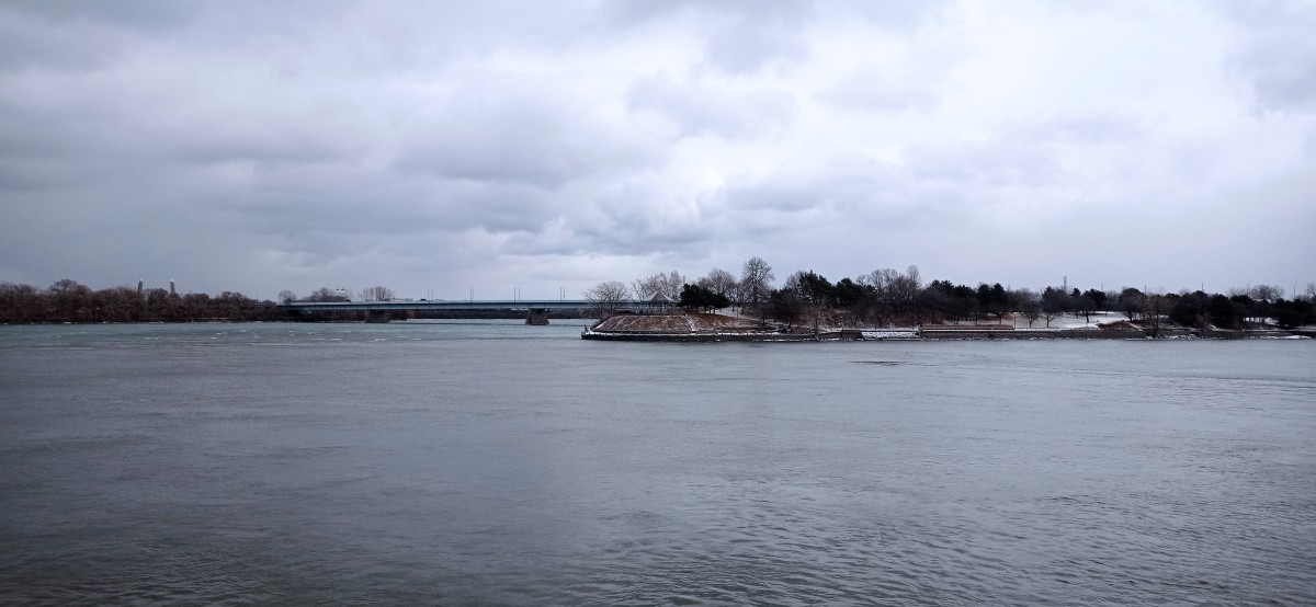 20260312_145824.jpg