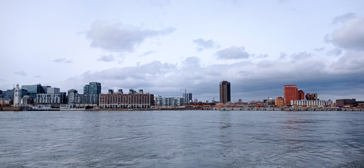 20260313_124105.jpg