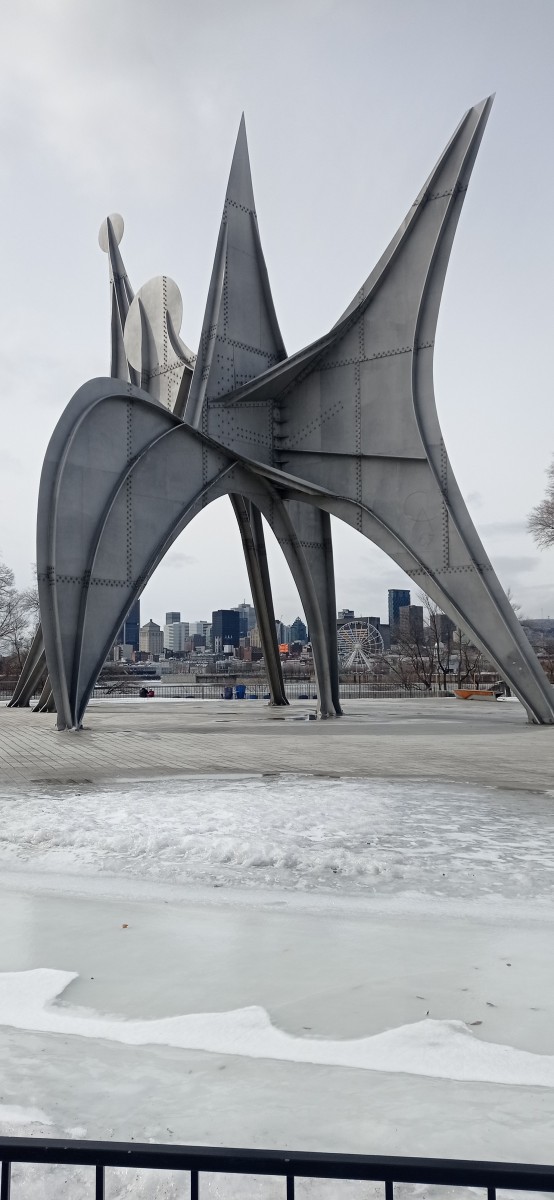 20260313_124732.jpg