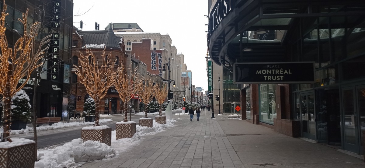 20260315_093747.jpg