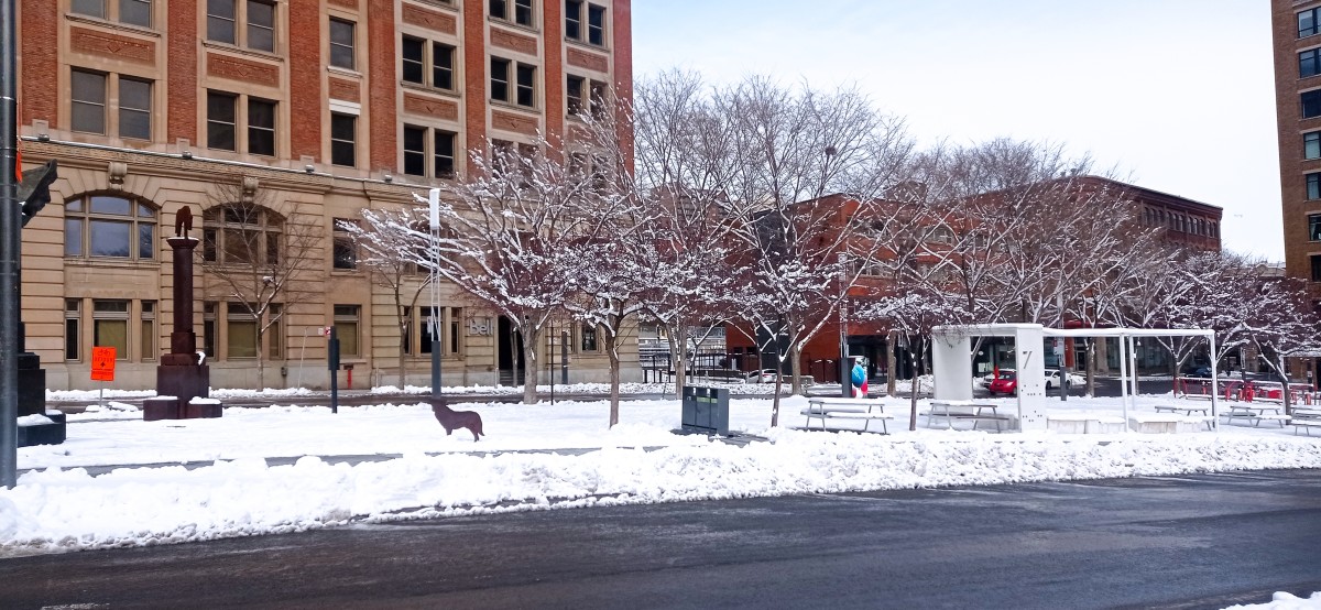 20260315_103830.jpg