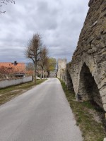 20260425_113154.jpg