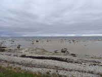 20260425_120030.jpg