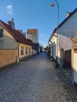 20260426_080443.jpg
