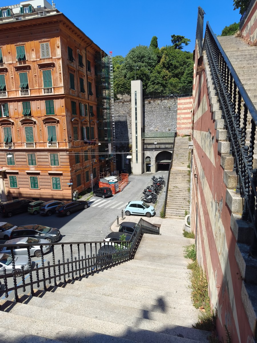 20260709_114958.jpg